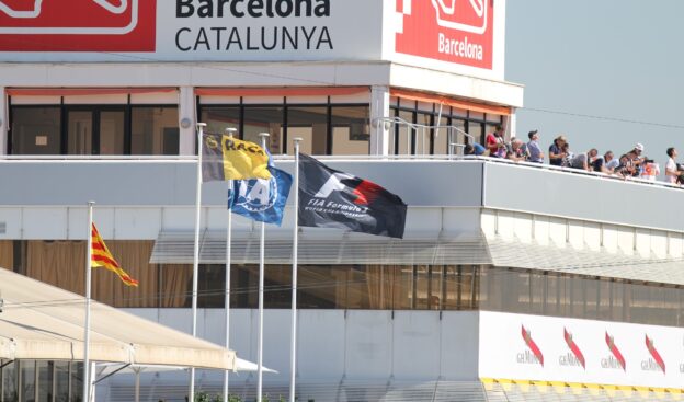 F1 & FIA flag