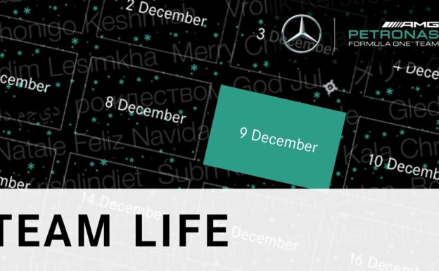 DAY 9 (9 Grand Prix Titles for Mercedes-Benz) - F1 Advent Calendar 2015